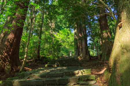 熊野古道